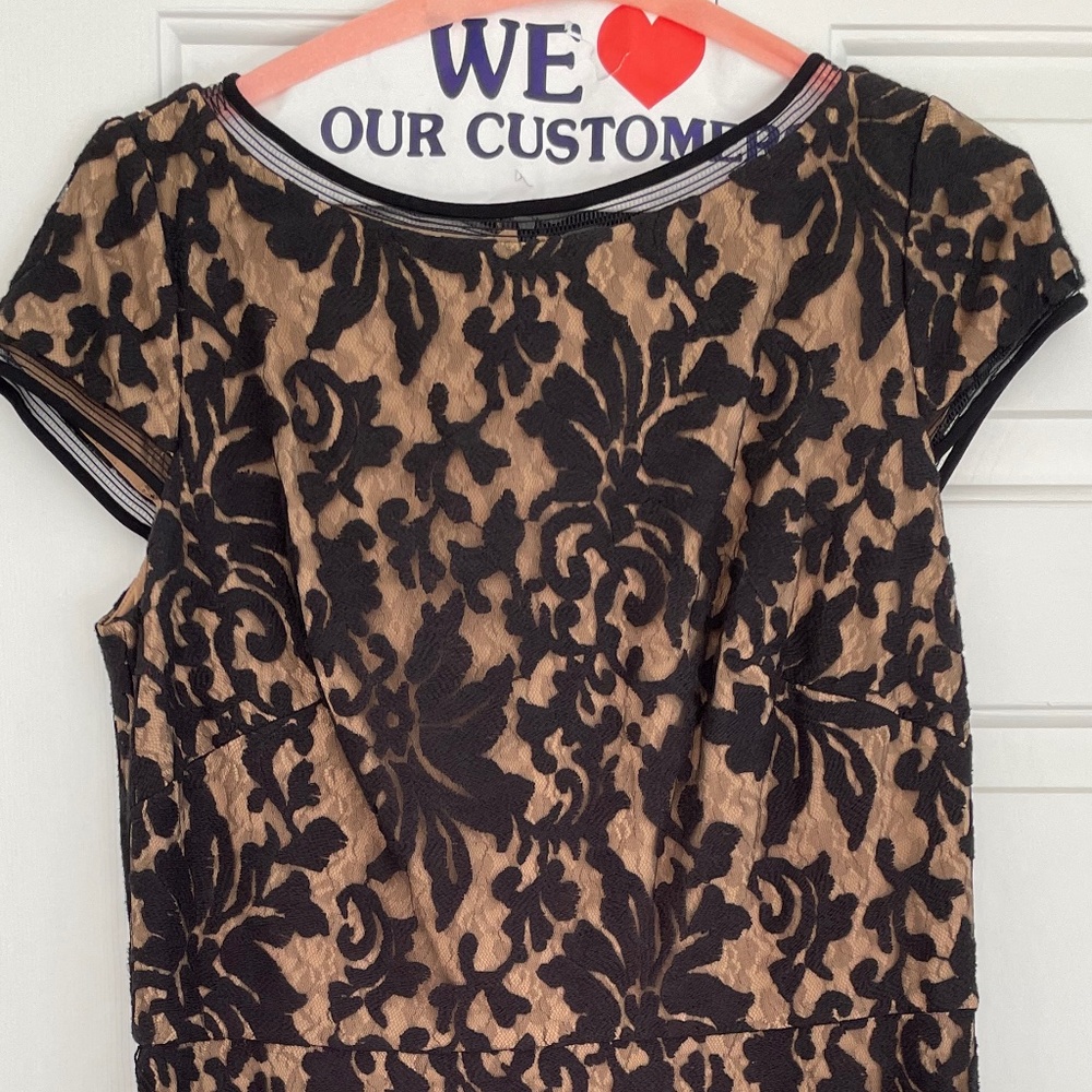 TADASHI SHOJI BLACK LACE FIT & FLARE DRESS SZ 16 WITH STRETCH STUNNING!